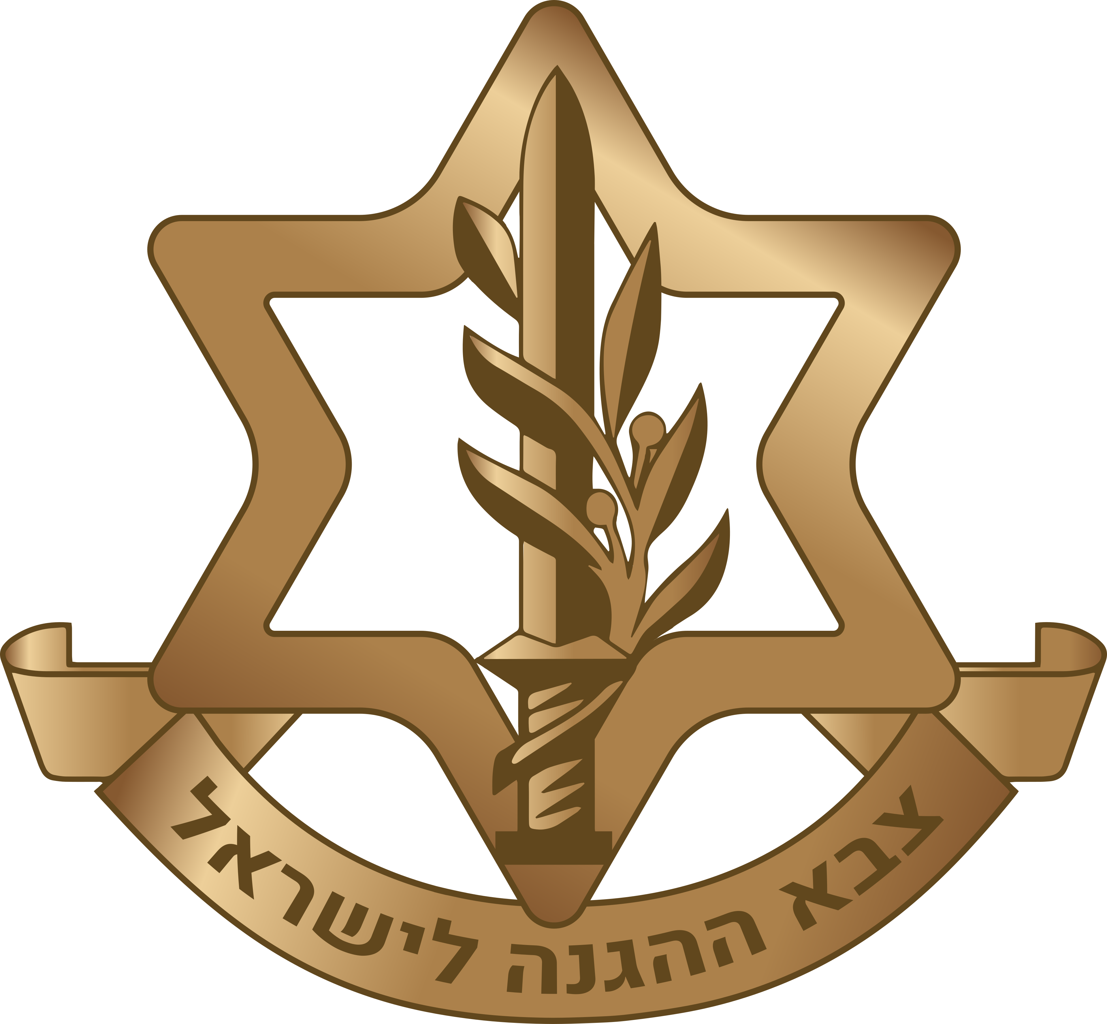 IDF badge