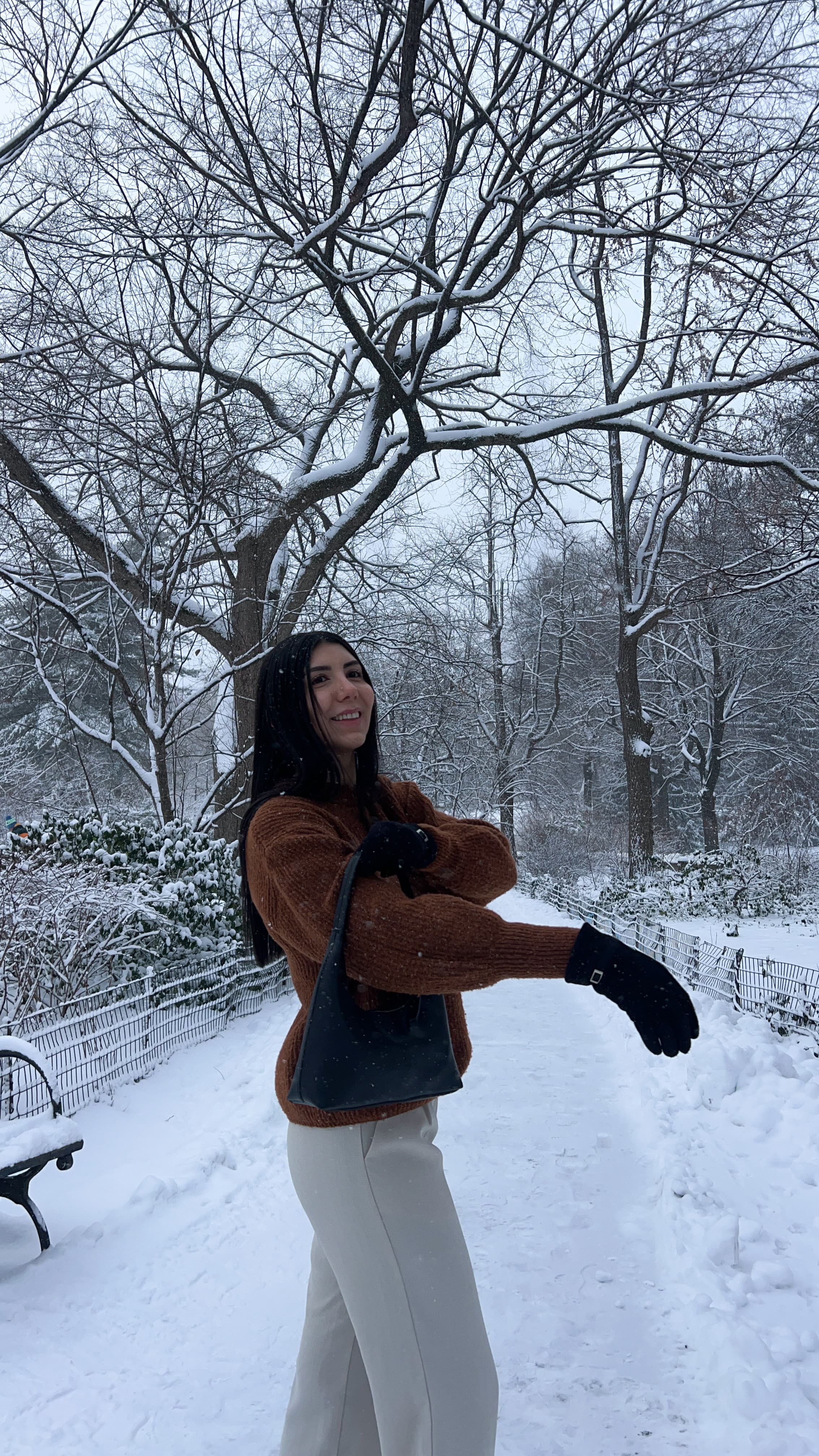 snow in central park
