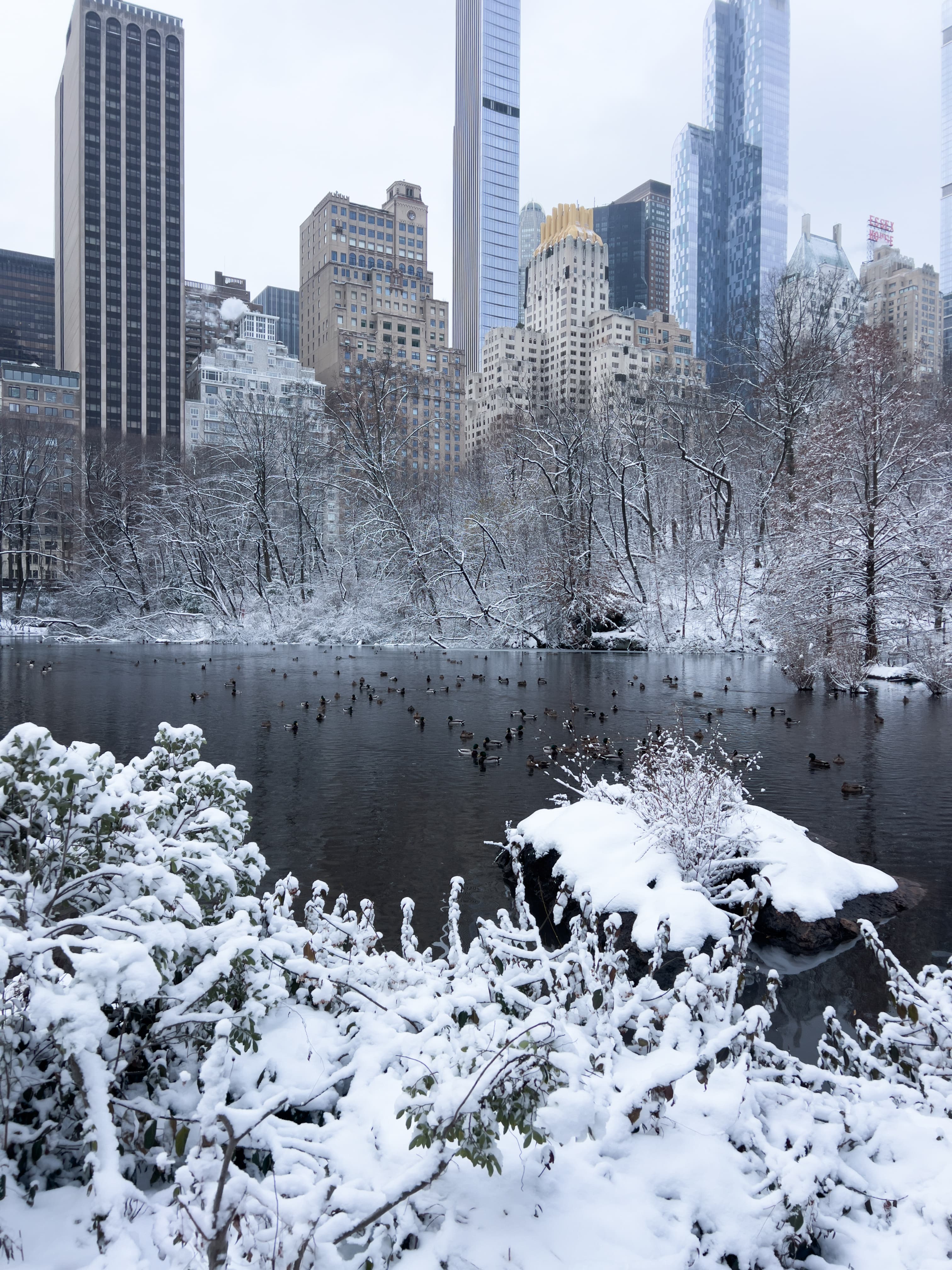 snow lake in nyc